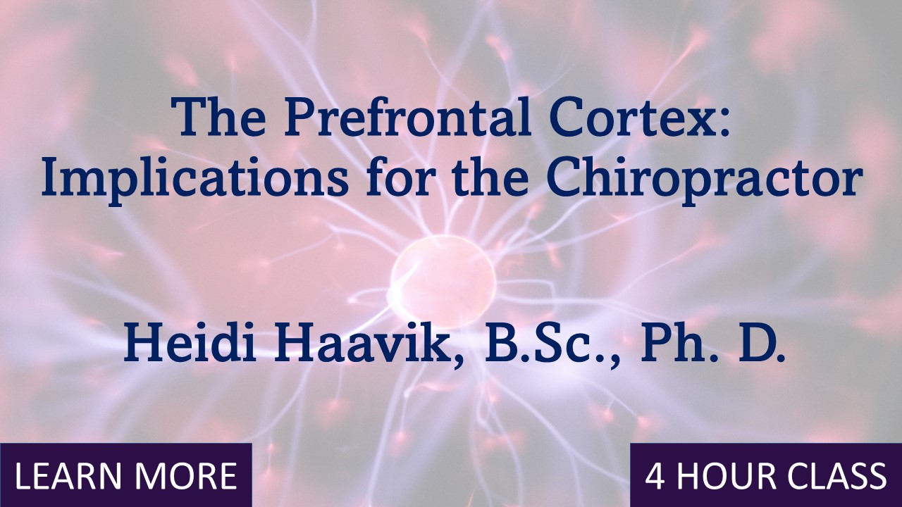 The Prefrontal Cortex: Implications for the Chiropractor